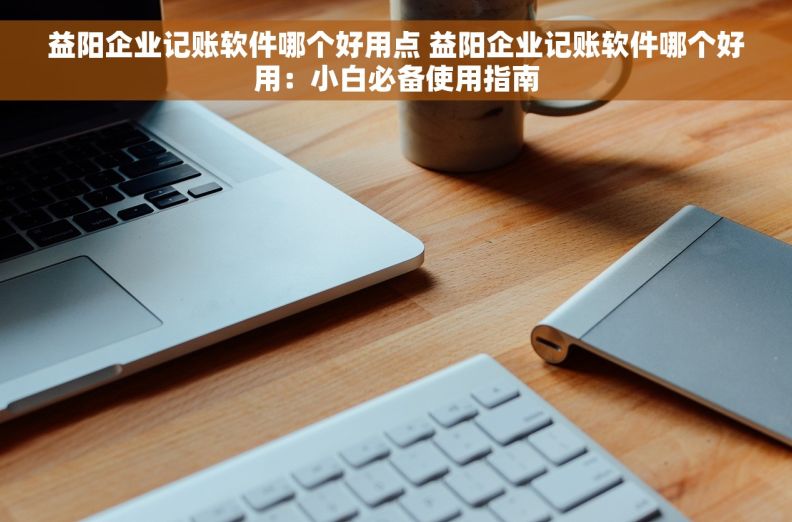 益阳企业记账软件哪个好用点 益阳企业记账软件哪个好用：小白必备使用指南