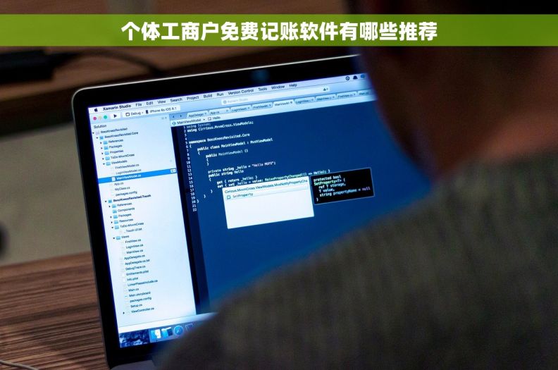 个体工商户免费记账软件有哪些推荐