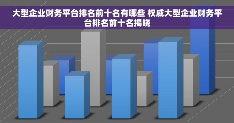 大型企业财务平台排名前十名有哪些 权威大型企业财务平台排名前十名揭晓