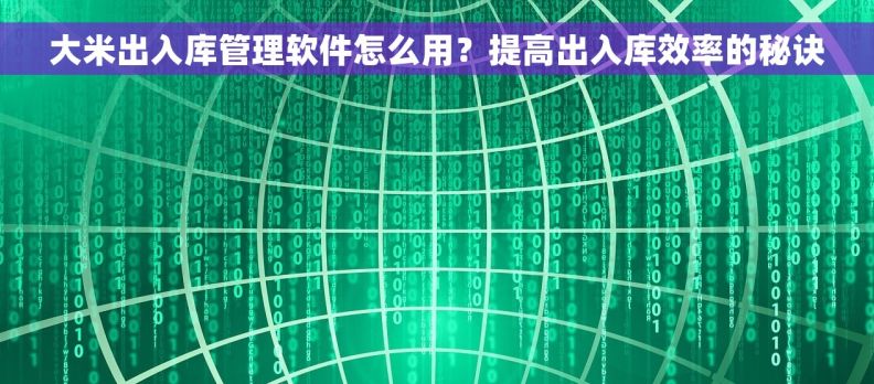 大米出入库管理软件怎么用？提高出入库效率的秘诀