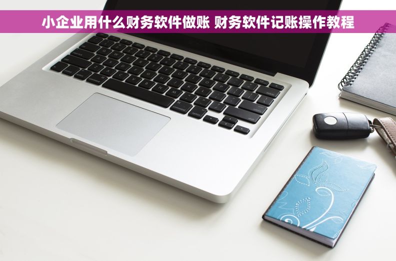 小企业用什么财务软件做账 财务软件记账操作教程