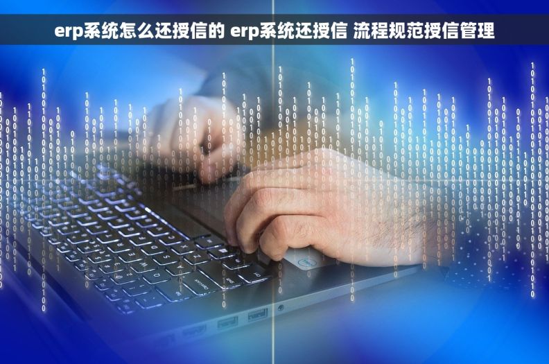 erp系统怎么还授信的 erp系统还授信 流程规范授信管理