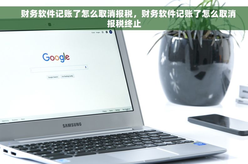     财务软件记账了怎么取消报税，财务软件记账了怎么取消报税终止