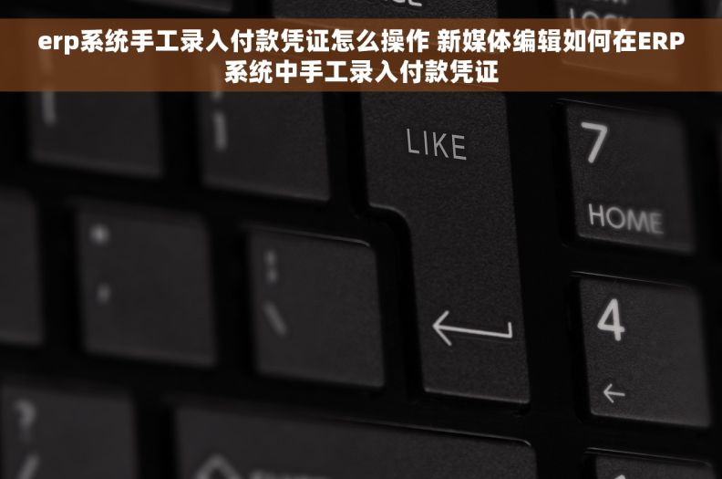 erp系统手工录入付款凭证怎么操作 新媒体编辑如何在ERP系统中手工录入付款凭证