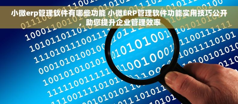 小微erp管理软件有哪些功能 小微ERP管理软件功能实用技巧公开，助您提升企业管理效率