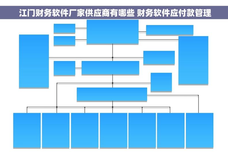  江门财务软件厂家供应商有哪些 财务软件应付款管理