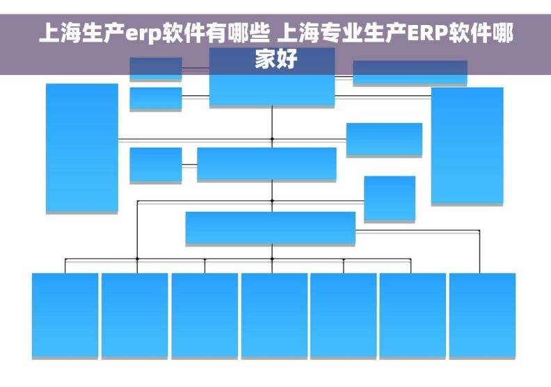 上海生产erp软件有哪些 上海专业生产ERP软件哪家好