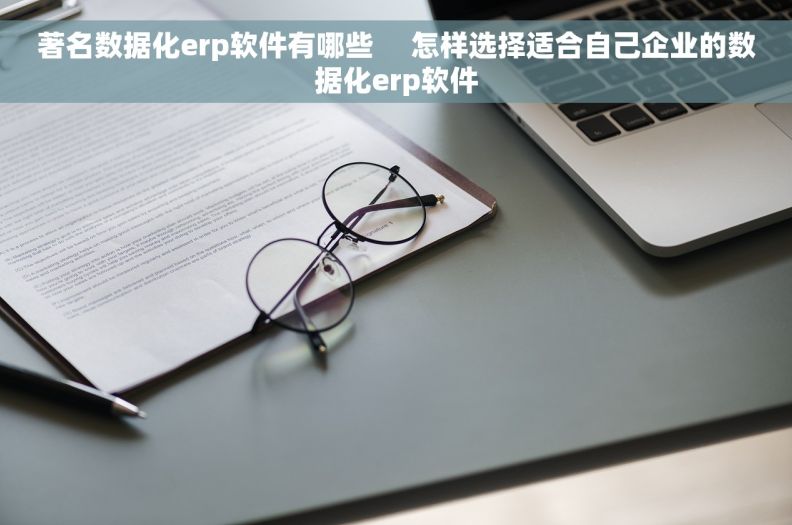 著名数据化erp软件有哪些     怎样选择适合自己企业的数据化erp软件