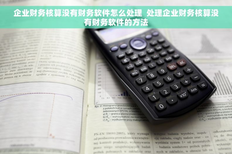 企业财务核算没有财务软件怎么处理  处理企业财务核算没有财务软件的方法