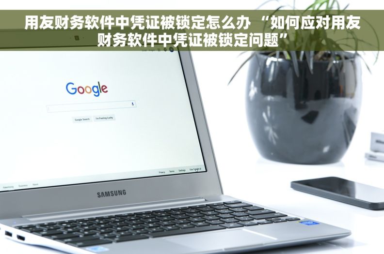 用友财务软件中凭证被锁定怎么办 “如何应对用友财务软件中凭证被锁定问题”