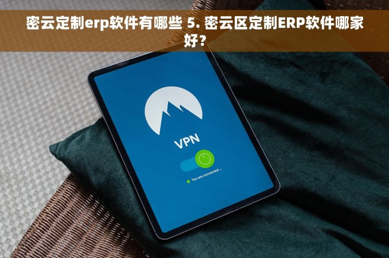 密云定制erp软件有哪些 5. 密云区定制ERP软件哪家好？