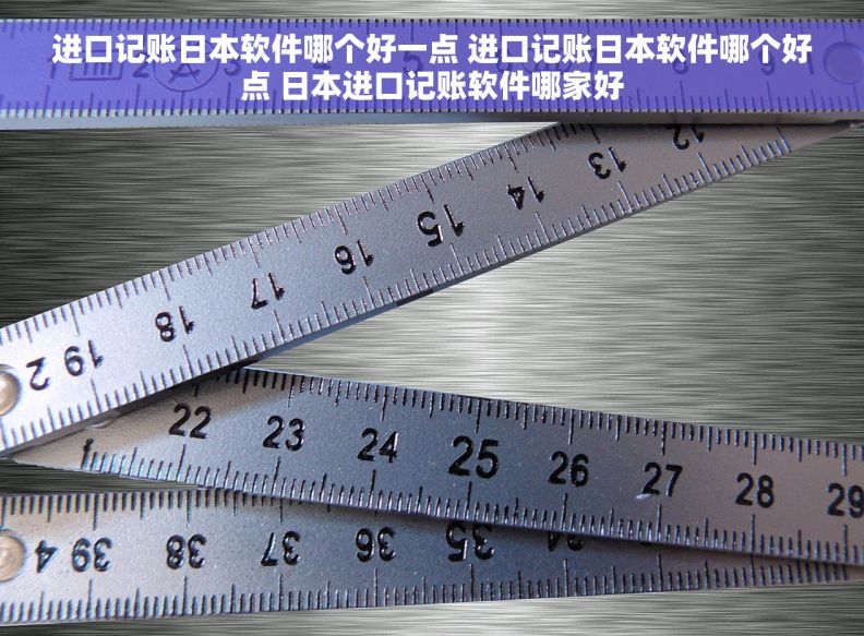 进口记账日本软件哪个好一点 进口记账日本软件哪个好点 日本进口记账软件哪家好