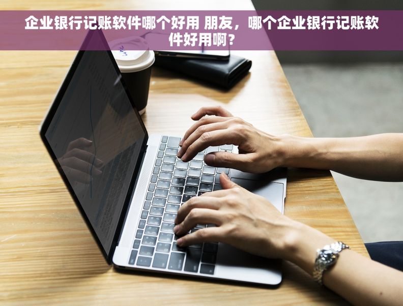 企业银行记账软件哪个好用 朋友，哪个企业银行记账软件好用啊？