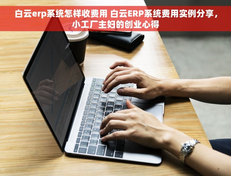 白云erp系统怎样收费用 白云ERP系统费用实例分享，小工厂主妇的创业心得