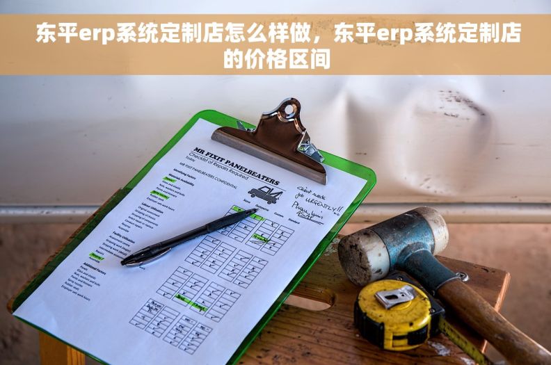  东平erp系统定制店怎么样做，东平erp系统定制店的价格区间