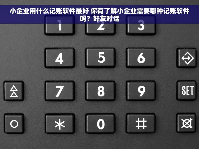 小企业用什么记账软件最好 你有了解小企业需要哪种记账软件吗？好友对话