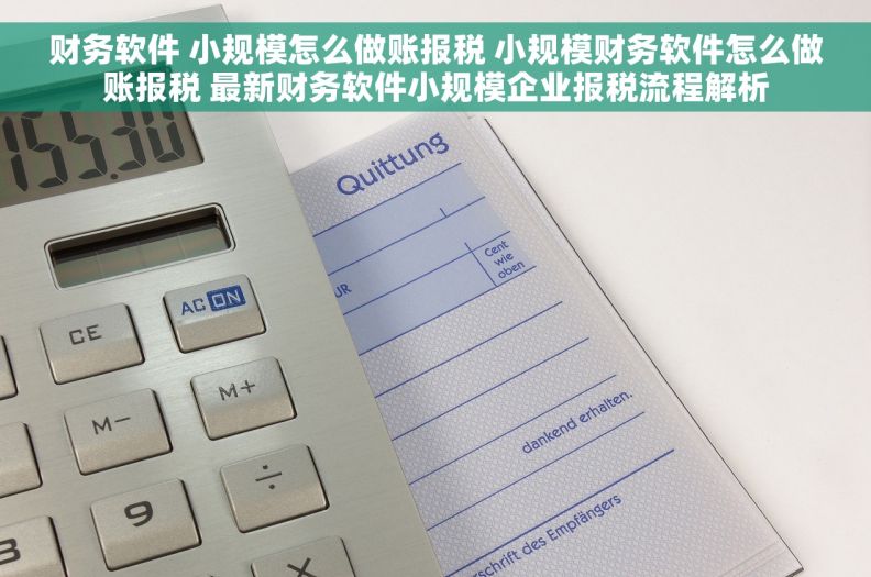 财务软件 小规模怎么做账报税 小规模财务软件怎么做账报税 最新财务软件小规模企业报税流程解析