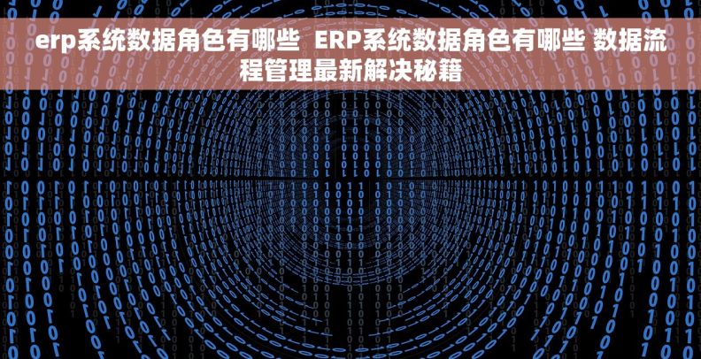 erp系统数据角色有哪些  ERP系统数据角色有哪些 数据流程管理最新解决秘籍