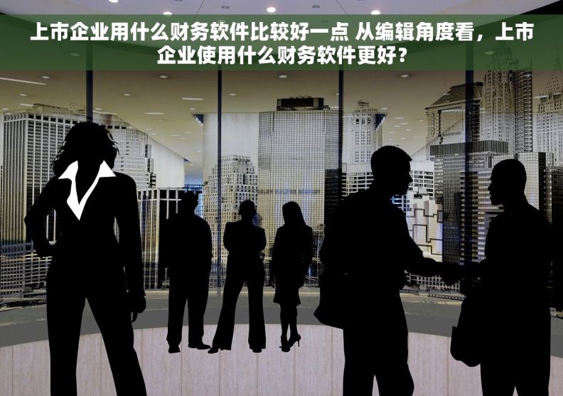 上市企业用什么财务软件比较好一点 从编辑角度看，上市企业使用什么财务软件更好？