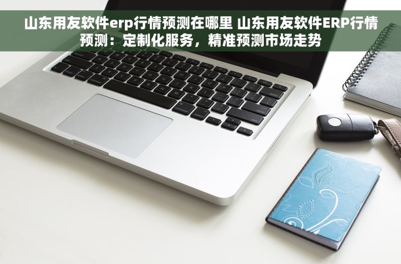 山东用友软件erp行情预测在哪里 山东用友软件ERP行情预测：定制化服务，精准预测市场走势