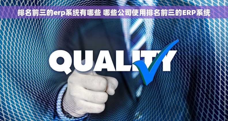 排名前三的erp系统有哪些 哪些公司使用排名前三的ERP系统