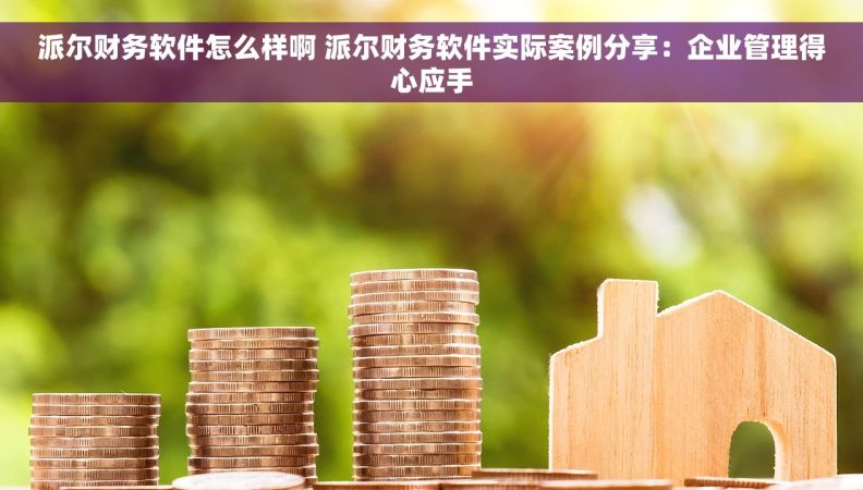 派尔财务软件怎么样啊 派尔财务软件实际案例分享：企业管理得心应手