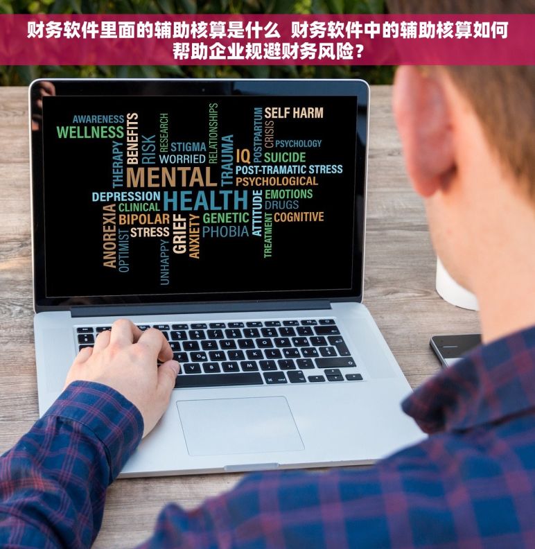 财务软件里面的辅助核算是什么  财务软件中的辅助核算如何帮助企业规避财务风险？