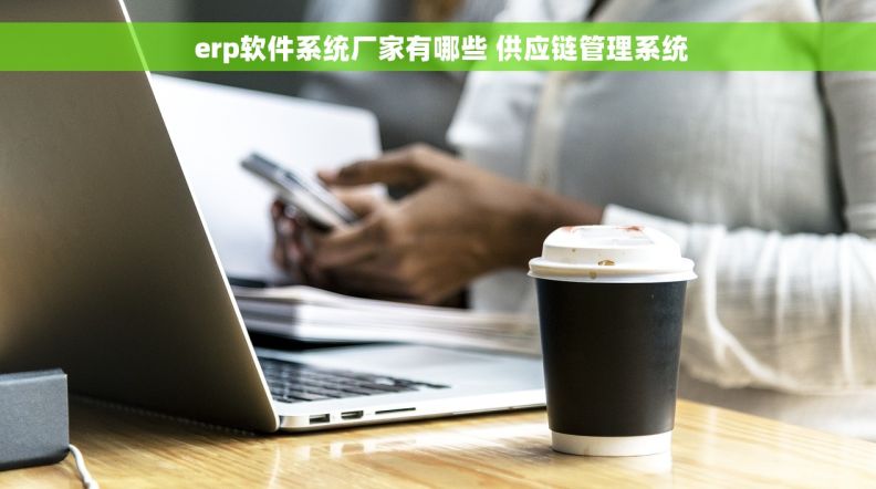  erp软件系统厂家有哪些 供应链管理系统