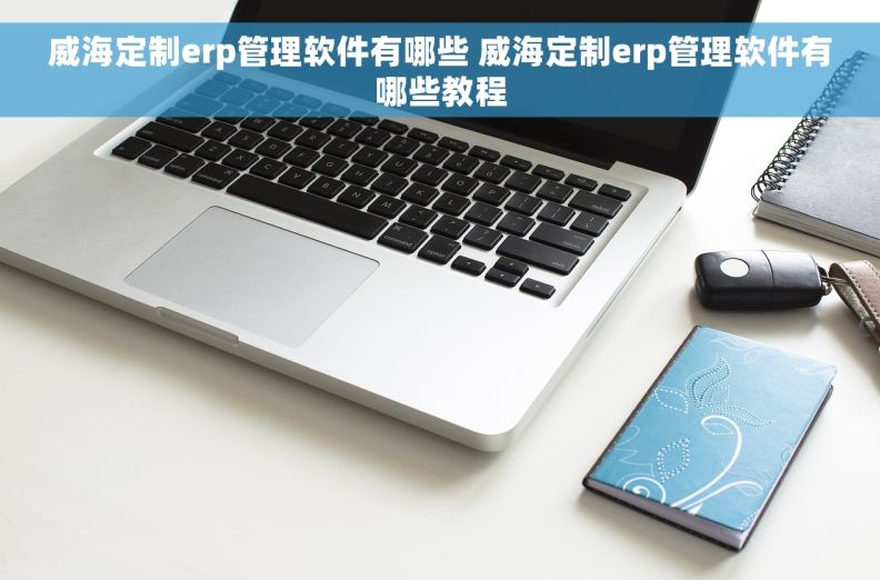 威海定制erp管理软件有哪些 威海定制erp管理软件有哪些教程