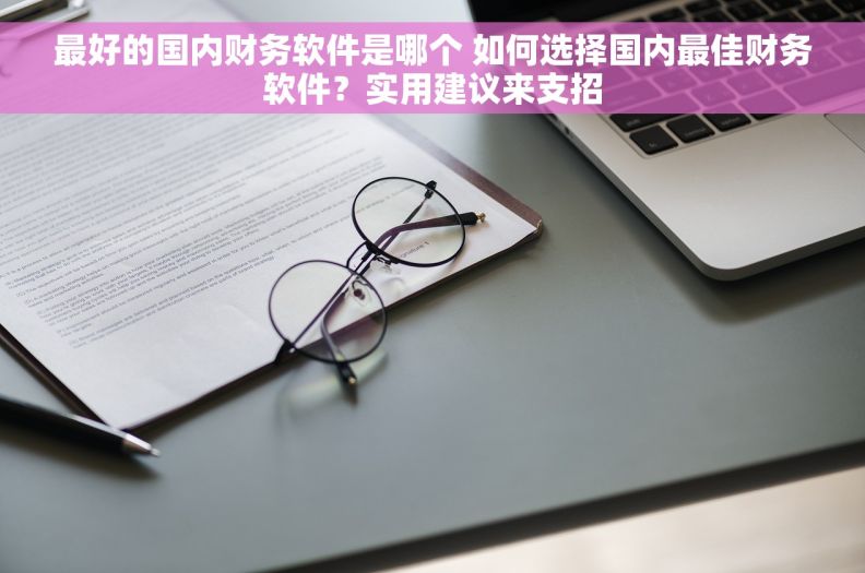 最好的国内财务软件是哪个 如何选择国内最佳财务软件？实用建议来支招