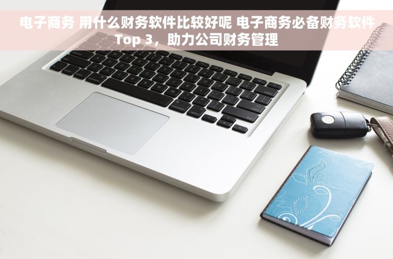 电子商务 用什么财务软件比较好呢 电子商务必备财务软件Top 3，助力公司财务管理