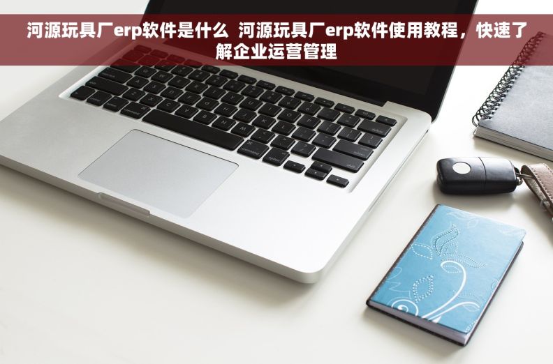 河源玩具厂erp软件是什么  河源玩具厂erp软件使用教程，快速了解企业运营管理