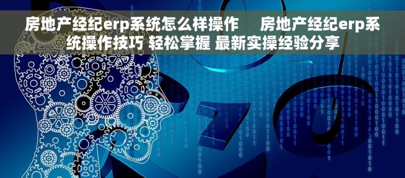 房地产经纪erp系统怎么样操作     房地产经纪erp系统操作技巧 轻松掌握 最新实操经验分享