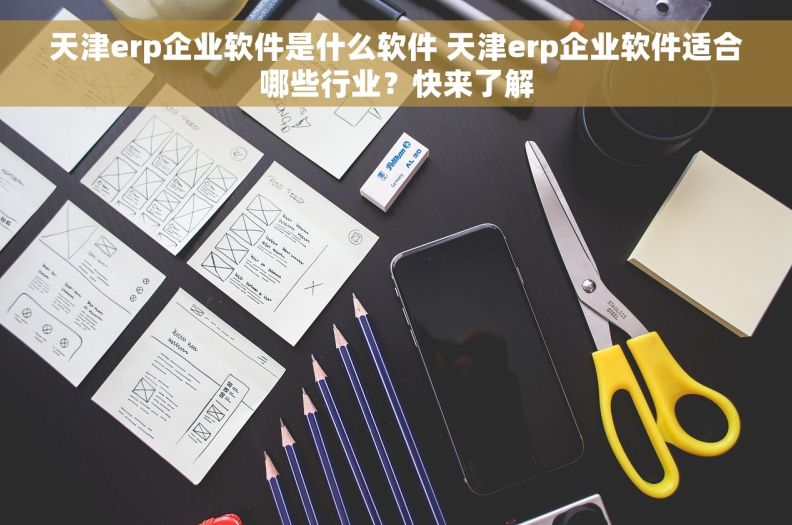 天津erp企业软件是什么软件 天津erp企业软件适合哪些行业？快来了解