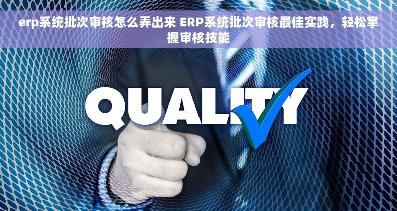 erp系统批次审核怎么弄出来 ERP系统批次审核最佳实践，轻松掌握审核技能