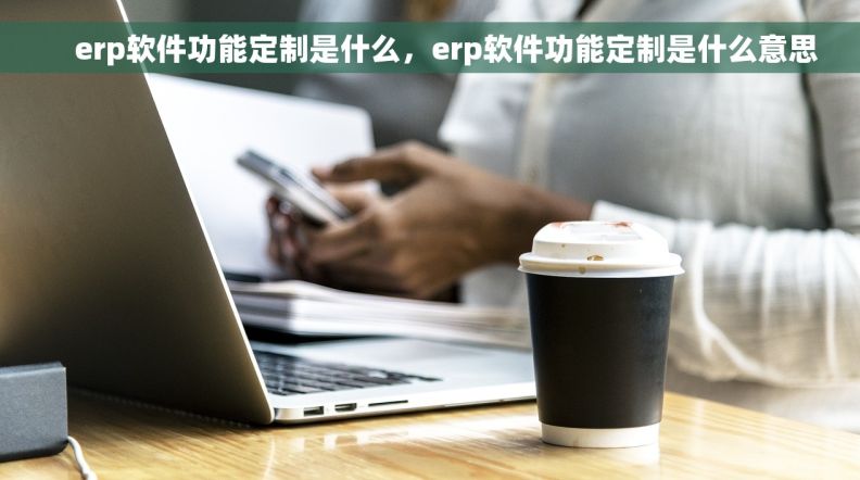     erp软件功能定制是什么，erp软件功能定制是什么意思