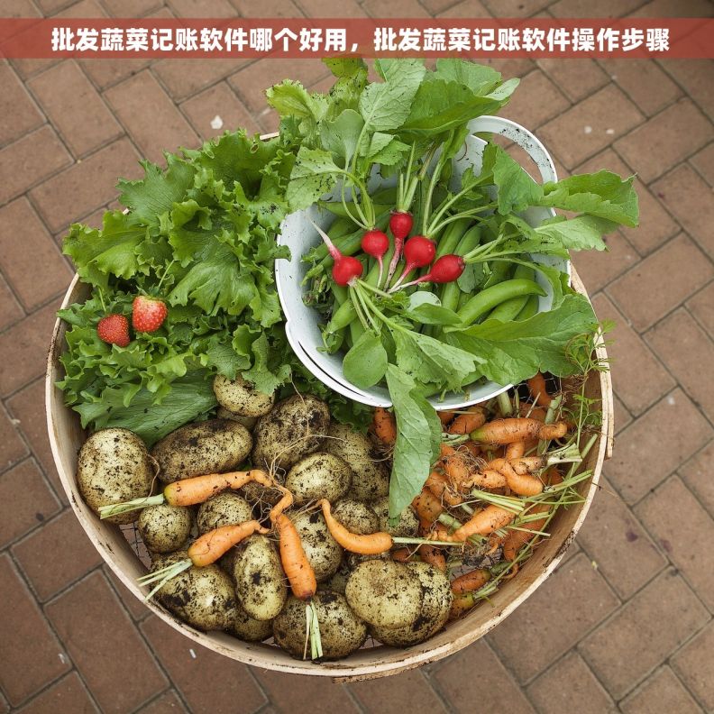  批发蔬菜记账软件哪个好用，批发蔬菜记账软件操作步骤