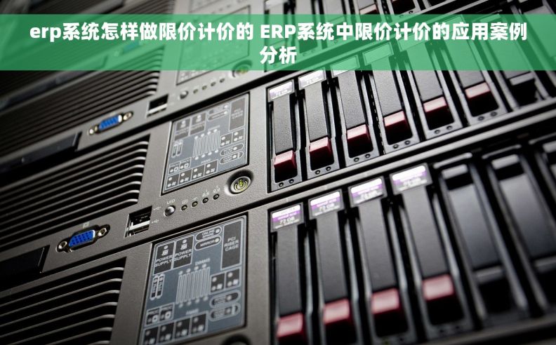 erp系统怎样做限价计价的 ERP系统中限价计价的应用案例分析