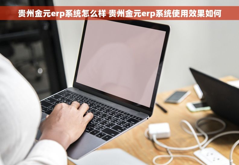 贵州金元erp系统怎么样 贵州金元erp系统使用效果如何