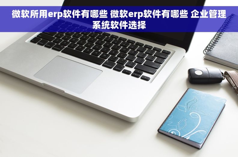 微软所用erp软件有哪些 微软erp软件有哪些 企业管理系统软件选择