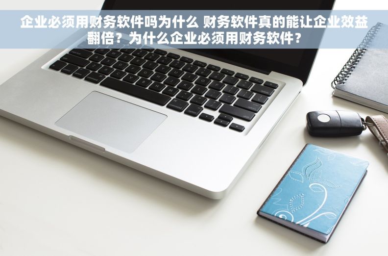 企业必须用财务软件吗为什么 财务软件真的能让企业效益翻倍？为什么企业必须用财务软件？