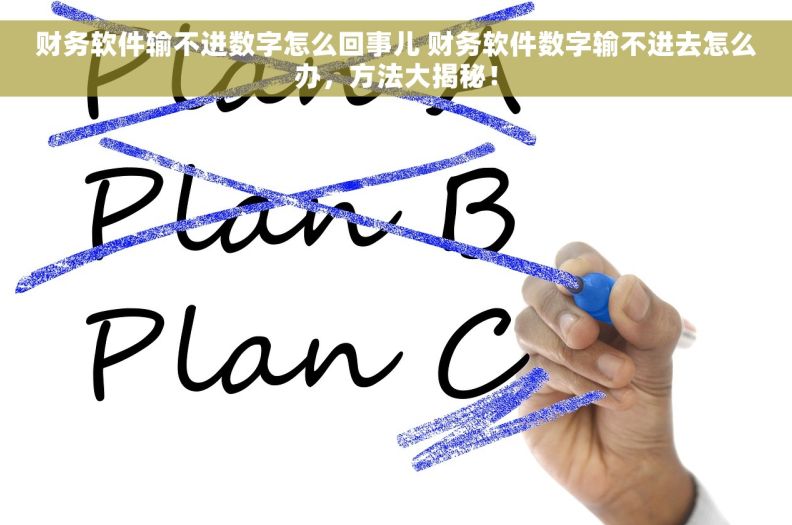 财务软件输不进数字怎么回事儿 财务软件数字输不进去怎么办，方法大揭秘！