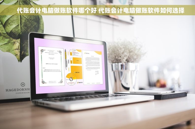     代账会计电脑做账软件哪个好 代账会计电脑做账软件如何选择