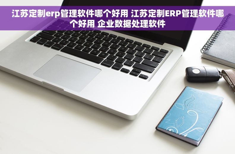 江苏定制erp管理软件哪个好用 江苏定制ERP管理软件哪个好用 企业数据处理软件