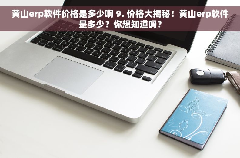 黄山erp软件价格是多少啊 9. 价格大揭秘！黄山erp软件是多少？你想知道吗？