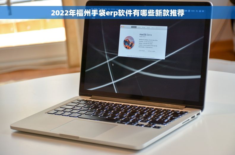 2022年福州手袋erp软件有哪些新款推荐