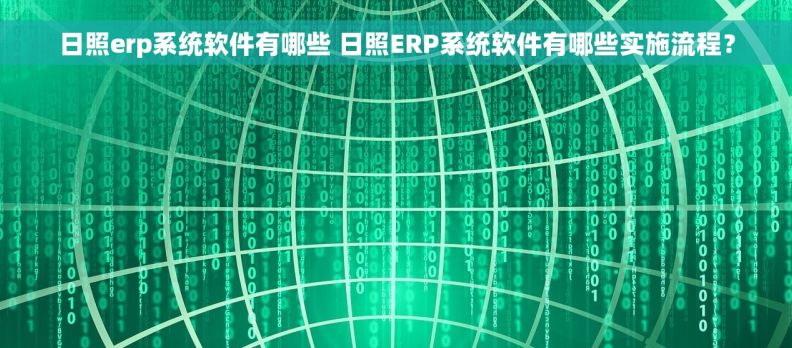 日照erp系统软件有哪些 日照ERP系统软件有哪些实施流程？