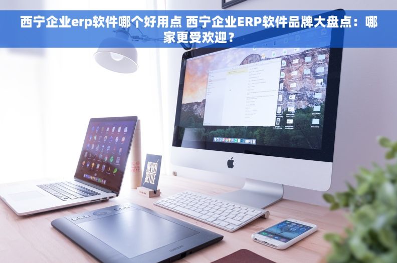 西宁企业erp软件哪个好用点 西宁企业ERP软件品牌大盘点：哪家更受欢迎？