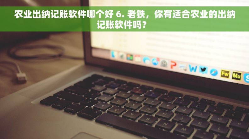 农业出纳记账软件哪个好 6. 老铁，你有适合农业的出纳记账软件吗？ 