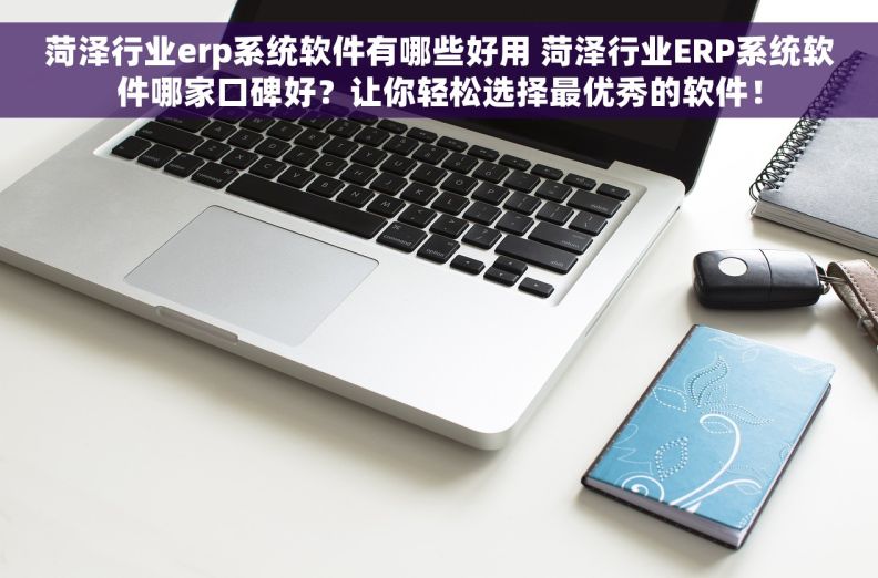 菏泽行业erp系统软件有哪些好用 菏泽行业ERP系统软件哪家口碑好？让你轻松选择最优秀的软件！